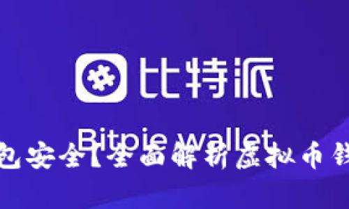 买虚拟币用什么钱包安全？全面解析虚拟币钱包的选择与安全性