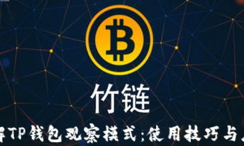 
深入了解TP钱包观察模式：使用技巧与应用场景