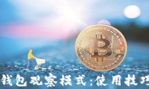 
深入了解TP钱包观察模式：使用技巧与应用场景